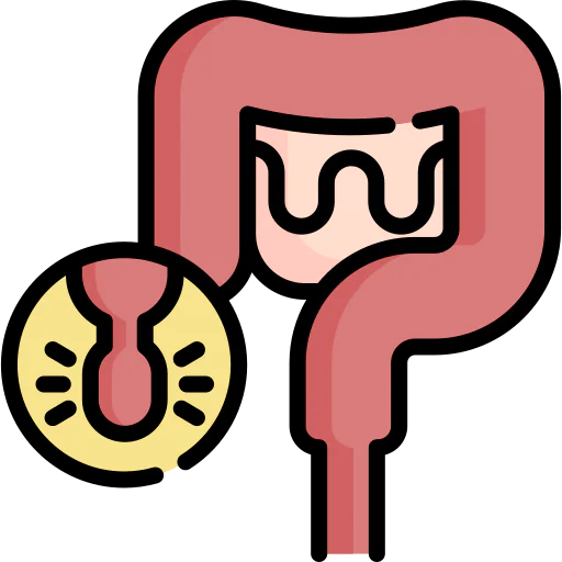 Appendix іконка