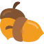 Acorn 图标 64x64
