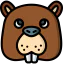 Beaver 图标 64x64
