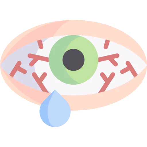 Conjunctivitis icon