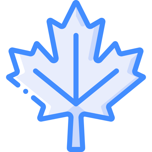 Maple leaf 상