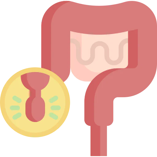 Appendix アイコン