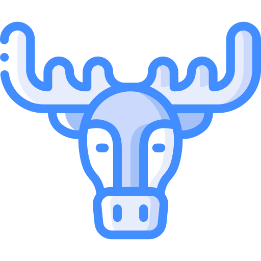 Moose 상
