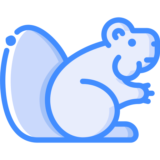 Beaver 상