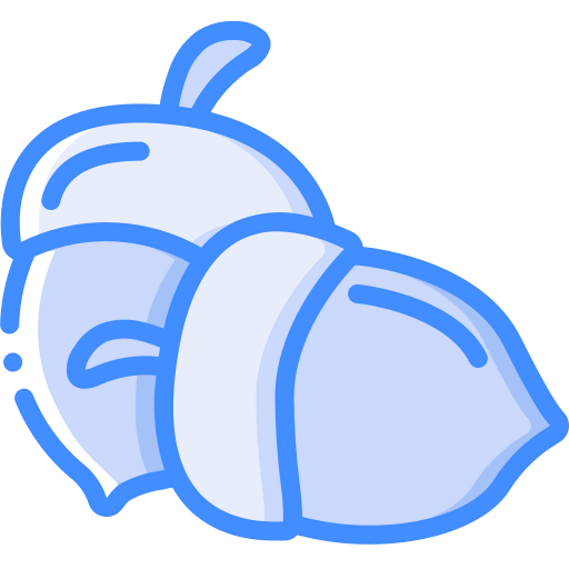 Acorn icon