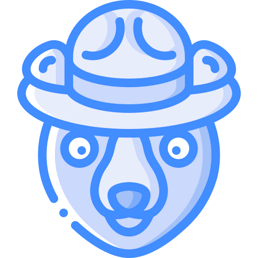 Bear icon