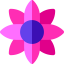 Flower icon 64x64