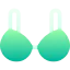 Bra icon 64x64