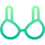 Bra icon 64x64