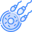 Ivf icon 64x64