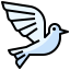 Pigeon icon 64x64