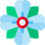 Flower icon 64x64