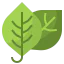 Leaf icon 64x64