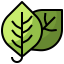 Leaf icon 64x64