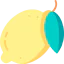 Lemon icon 64x64