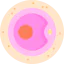 Ovum icon 64x64