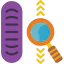 Zoom アイコン 64x64