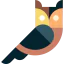 Owl icon 64x64