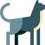 Cat icon 64x64
