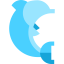 Dolphin icon 64x64