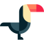 Toucan icon 64x64