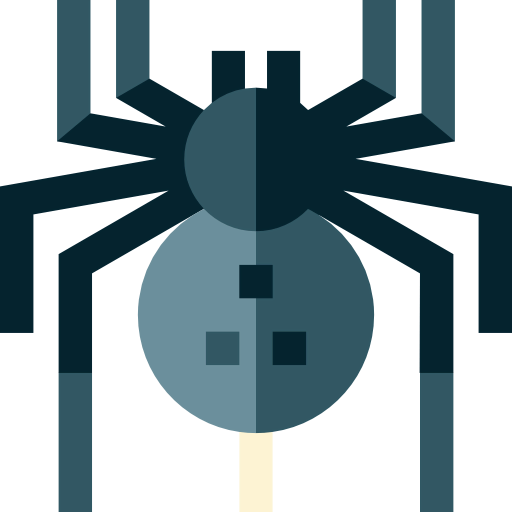 Spider icon