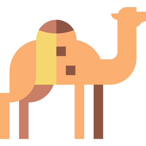 Camel 상