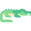 Crocodile icon 64x64