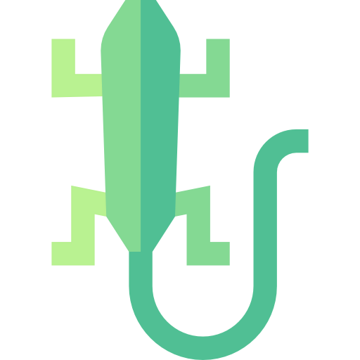 Lizard icon