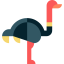 Ostrich icon 64x64