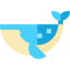 Whale icon 64x64