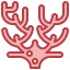 Coral icon 64x64