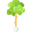 Plant icon 64x64