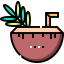 Coconut drink icon 64x64