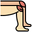 Knee іконка 64x64