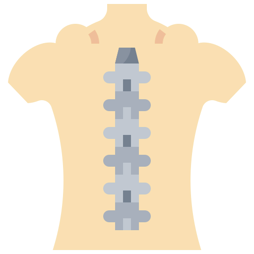 Spinal column icon