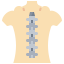Spinal column icon 64x64