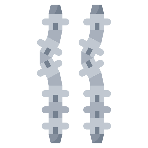 Spine icon