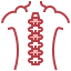 Spinal column icon 64x64