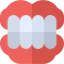 Denture 图标 64x64
