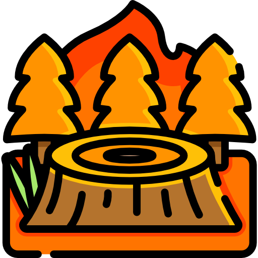 Fire icon