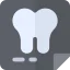 X ray 图标 64x64