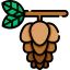 Pine icon 64x64