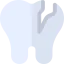 Tooth 图标 64x64