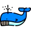 Whale icon 64x64