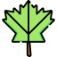 Maple leaf icon 64x64
