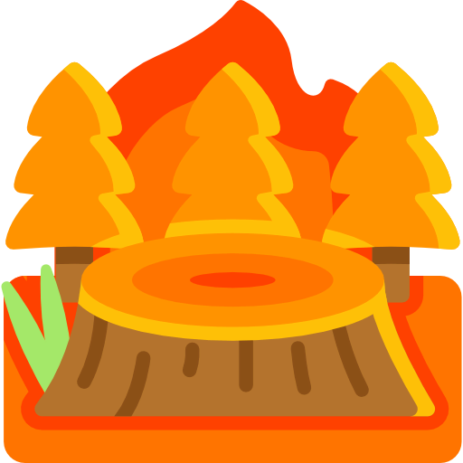 Fire icon