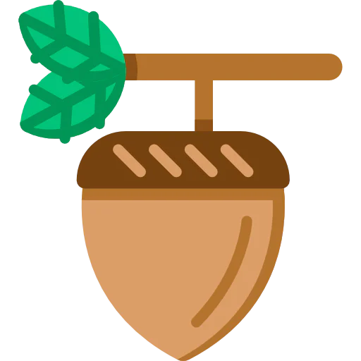 Acorn icon