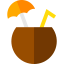 Coconut icon 64x64