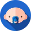 Baby boy icon 64x64